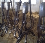 Fam. Dijkzeul Santpoort